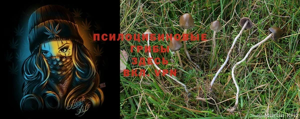 дистиллят марихуана Кинешма